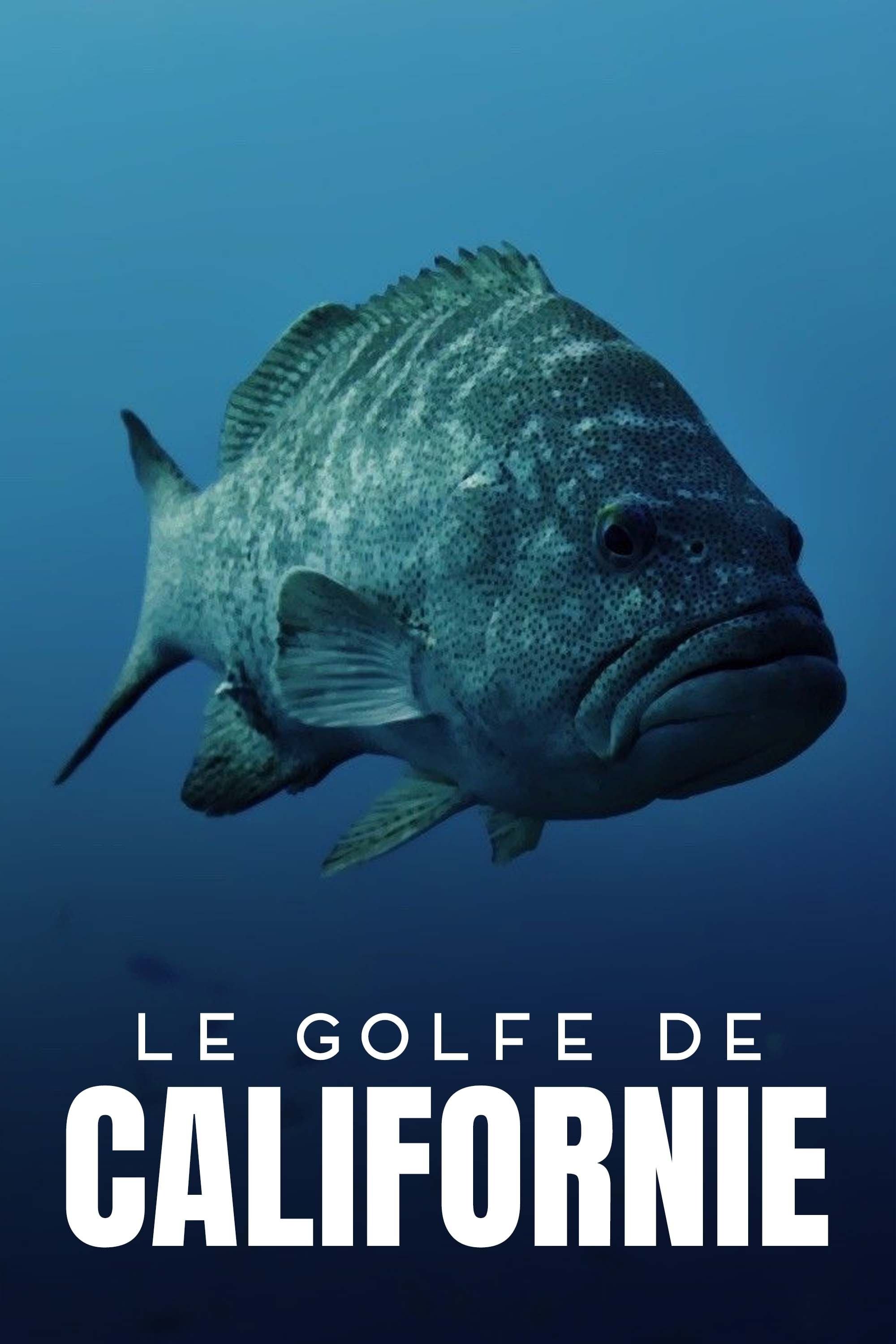 Le Golfe de Californie