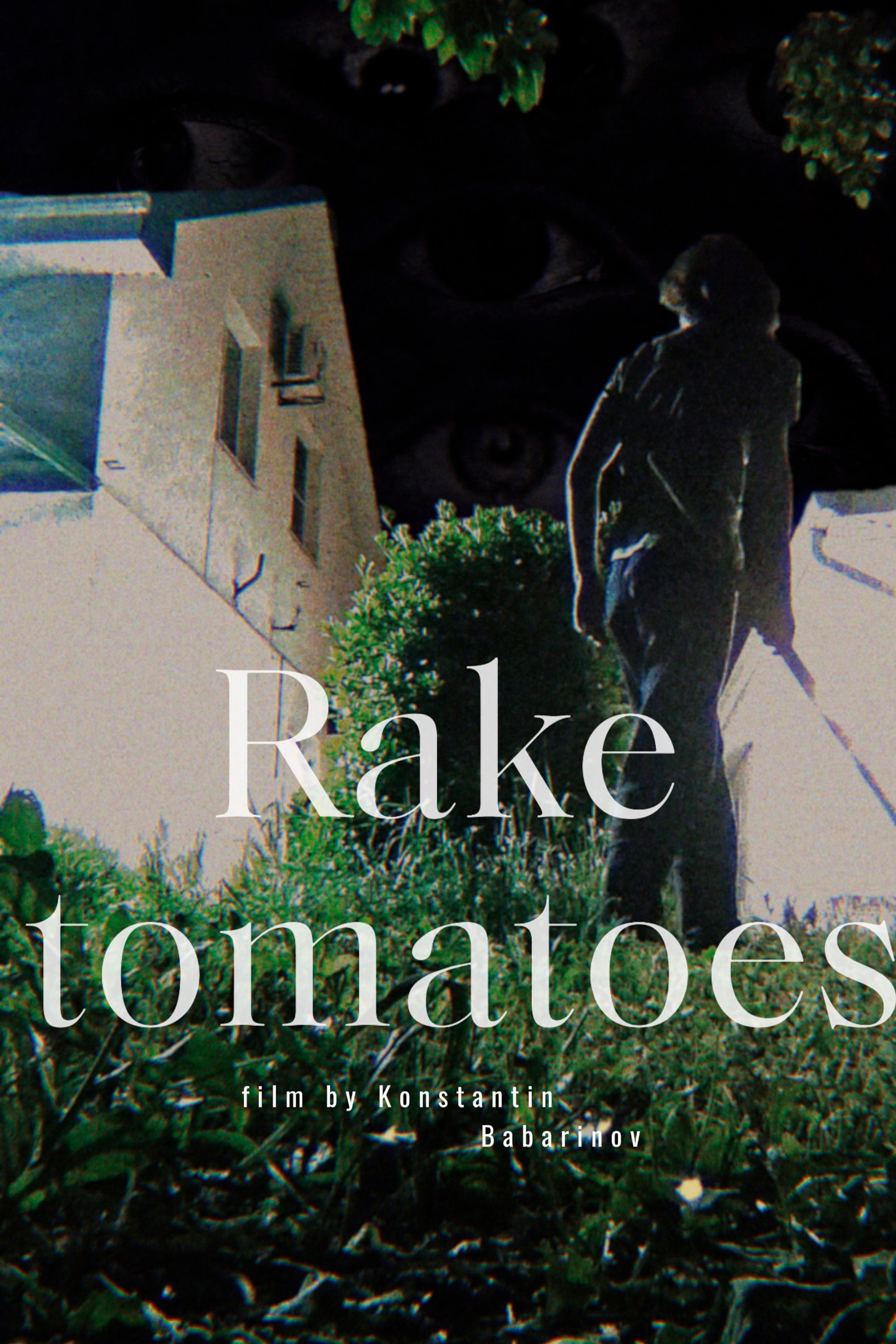 Rake Tomatoes