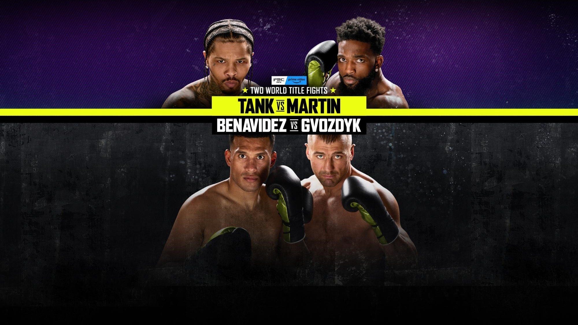 Gervonta Davis vs. Frank Martin (2024)