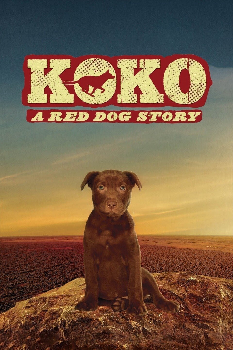 Koko: A Red Dog Story