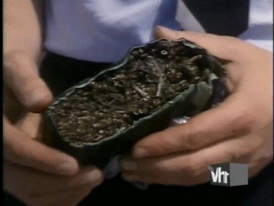 Thumbnail for Teenage Wasteland Season 1 Episode 3