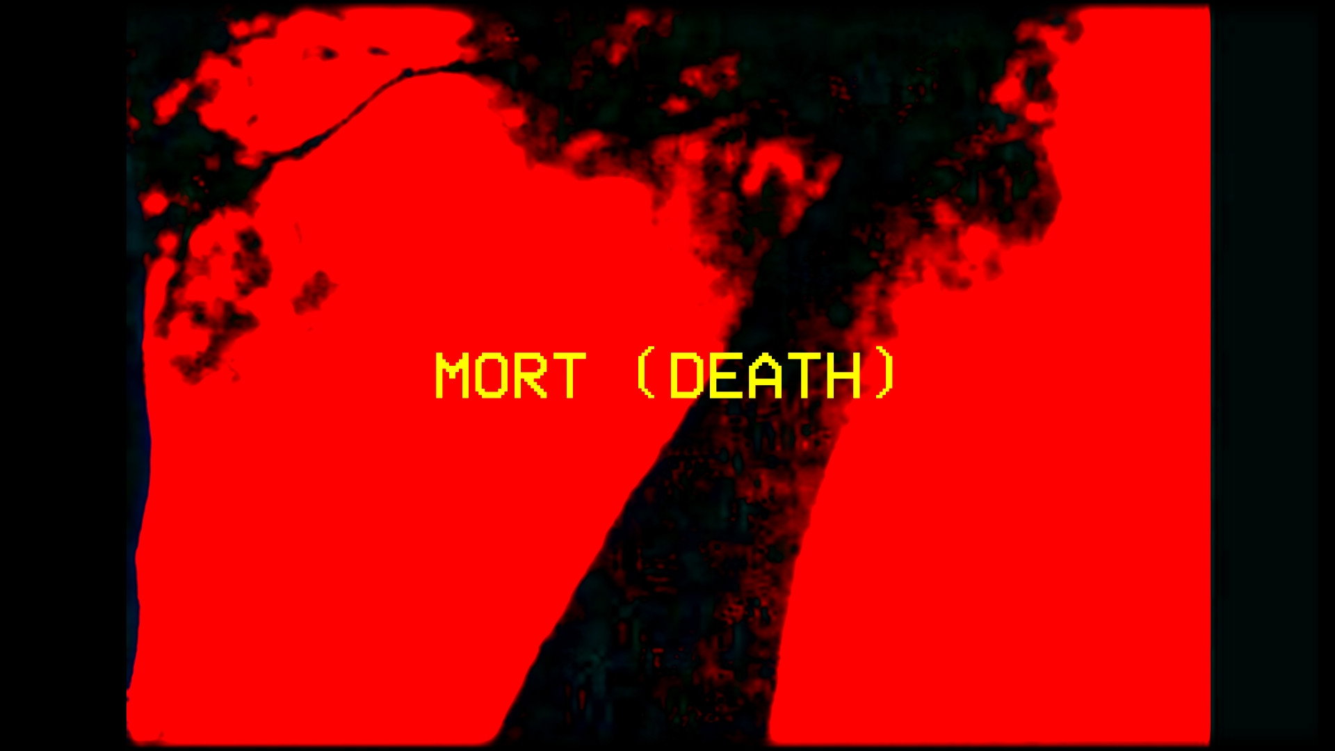 trailer banner