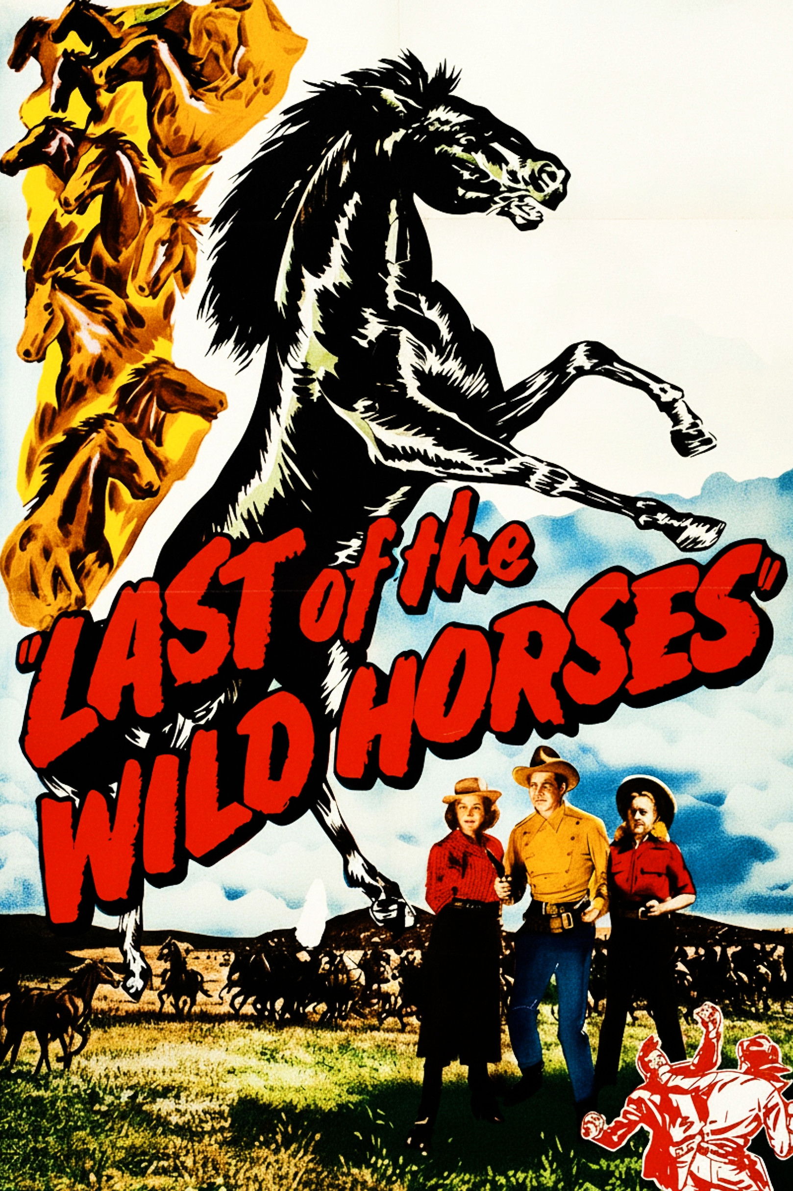 Last of the Wild Horses