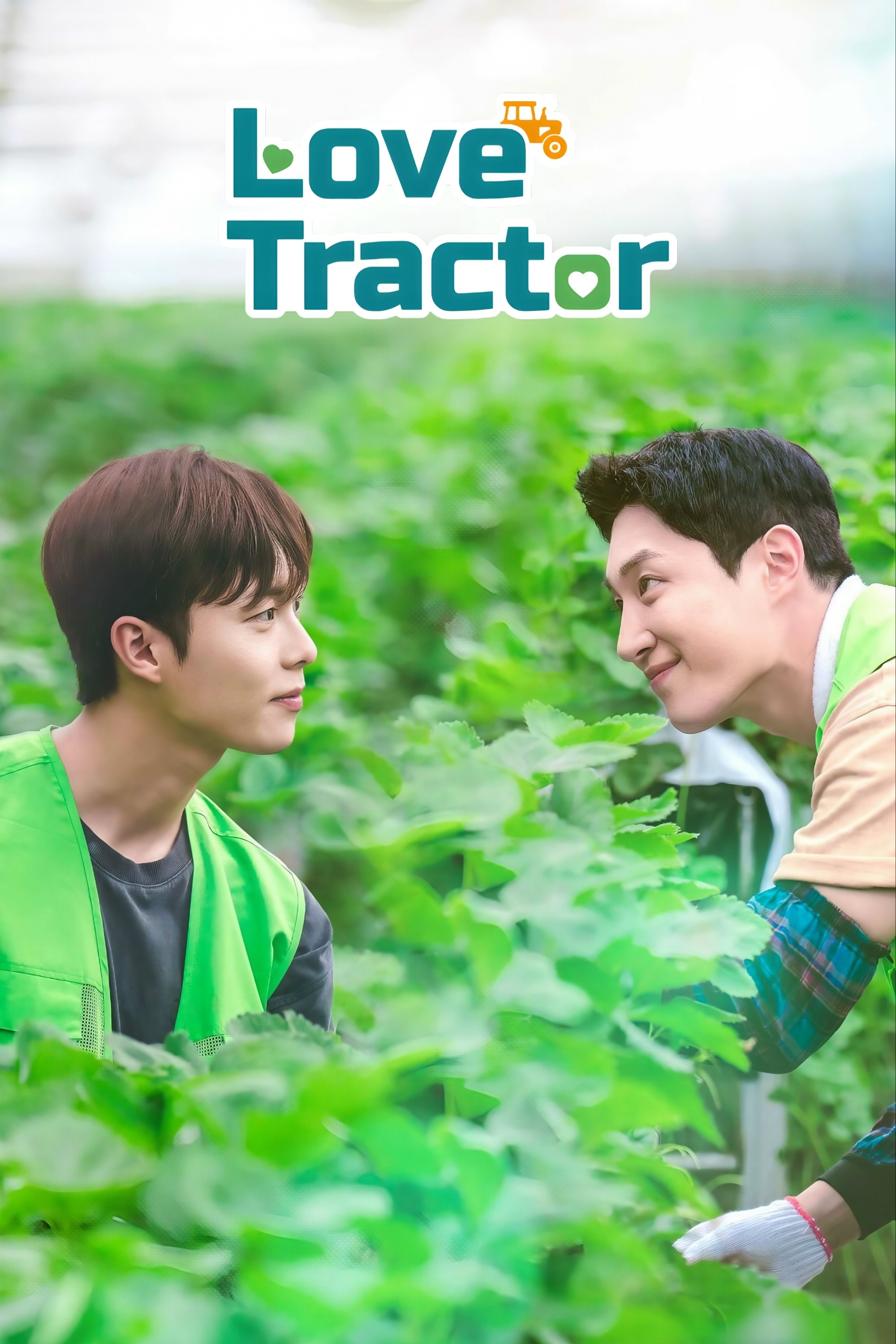 Love Tractor - Season 1