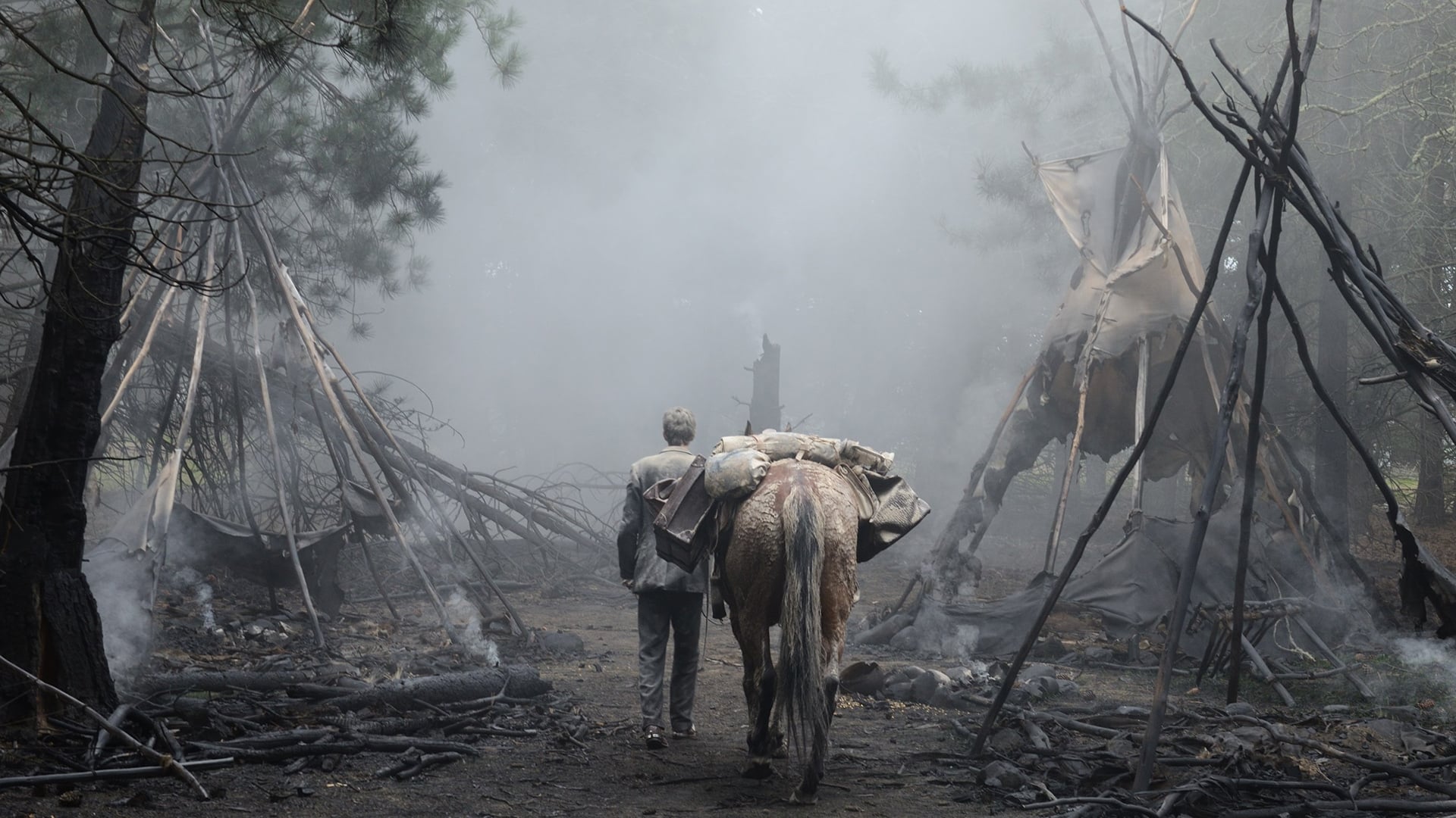 Slow West (2015)