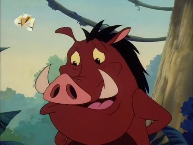 Timon and Pumbaa