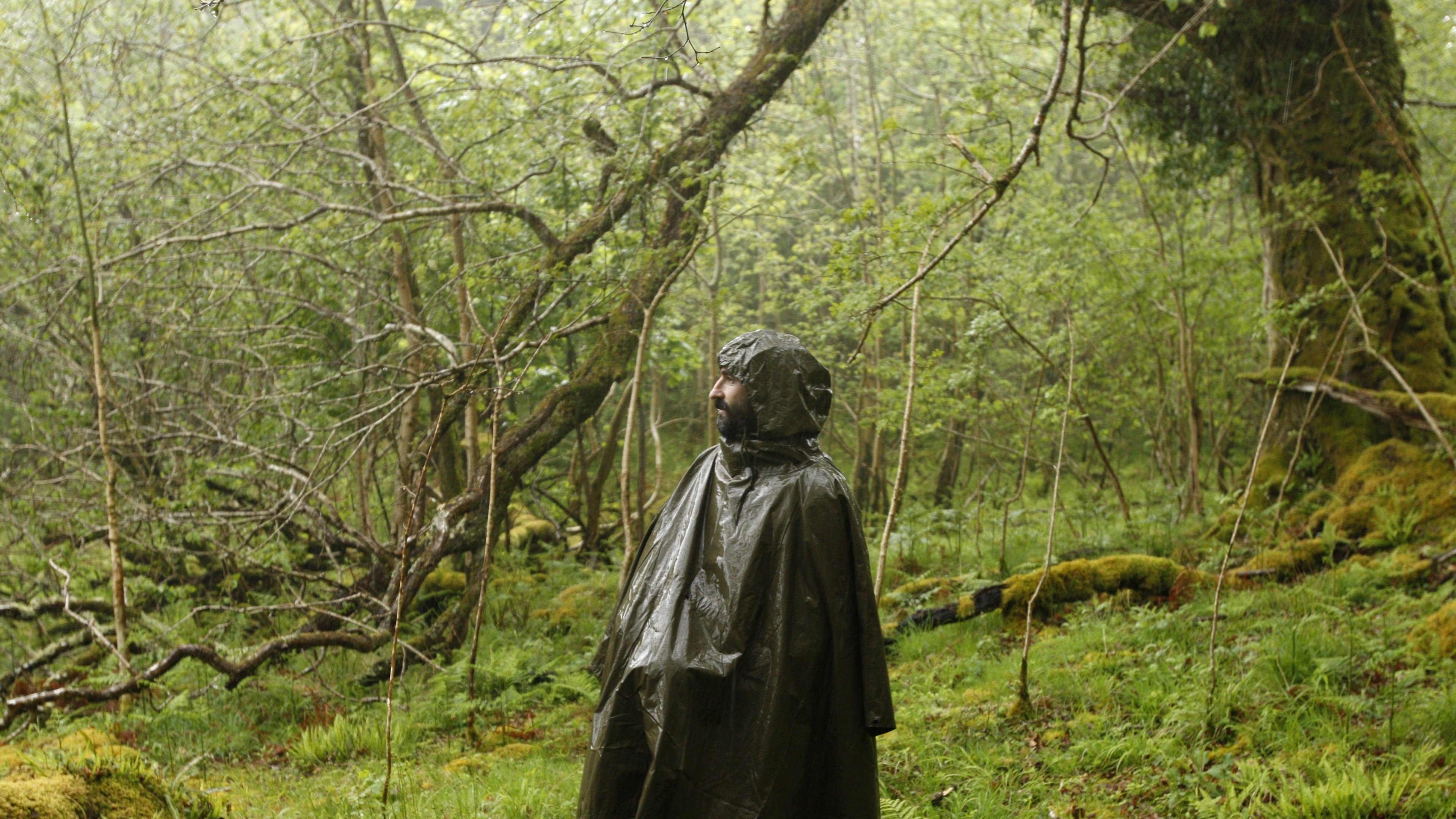 Silence (2012)