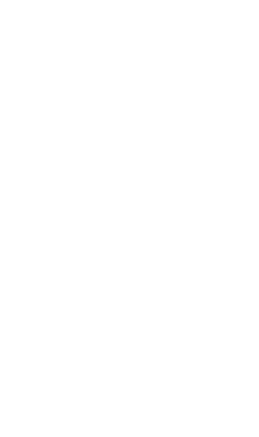 The Big Bird Cage Logo