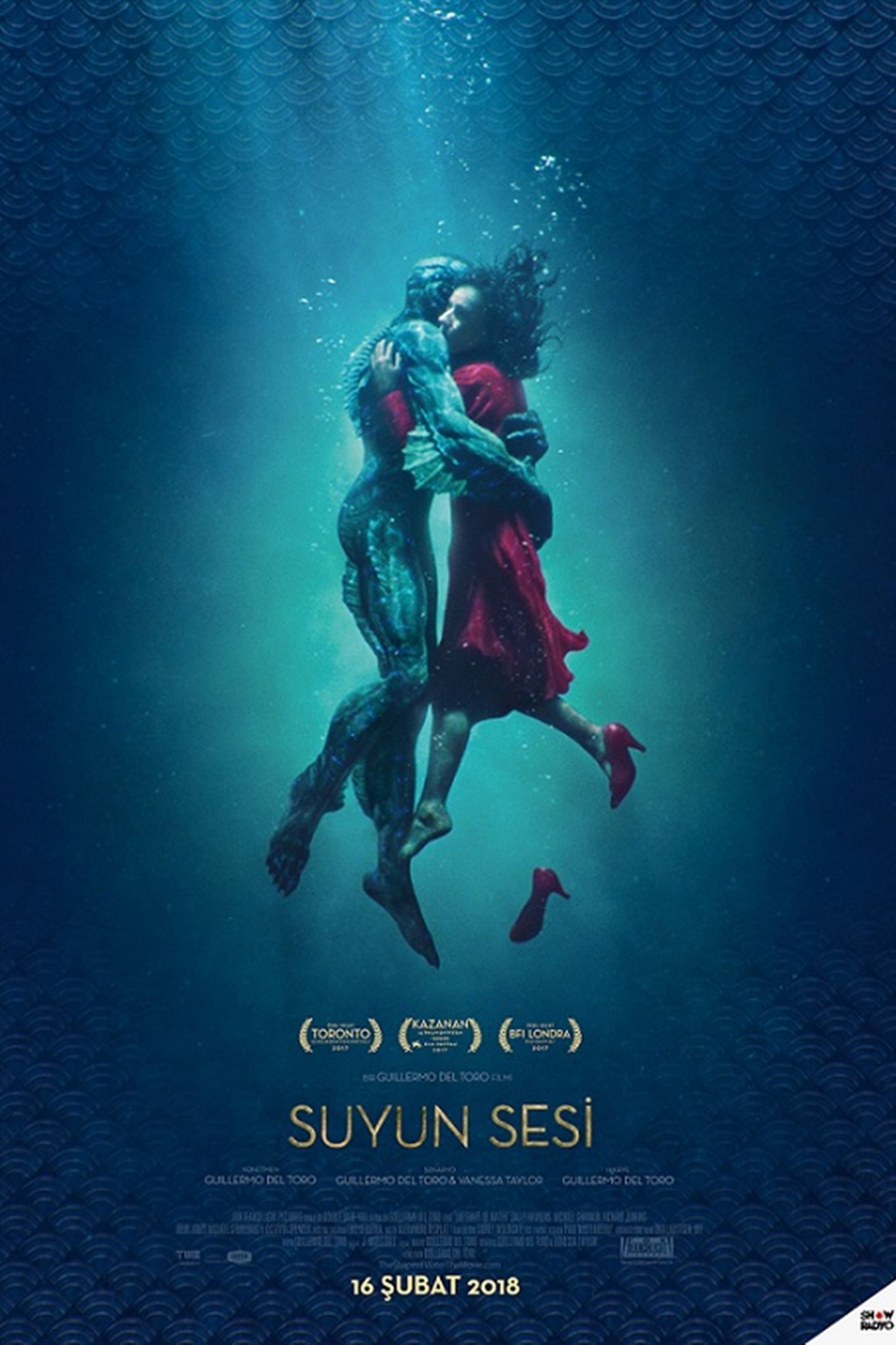 The Shape of Water