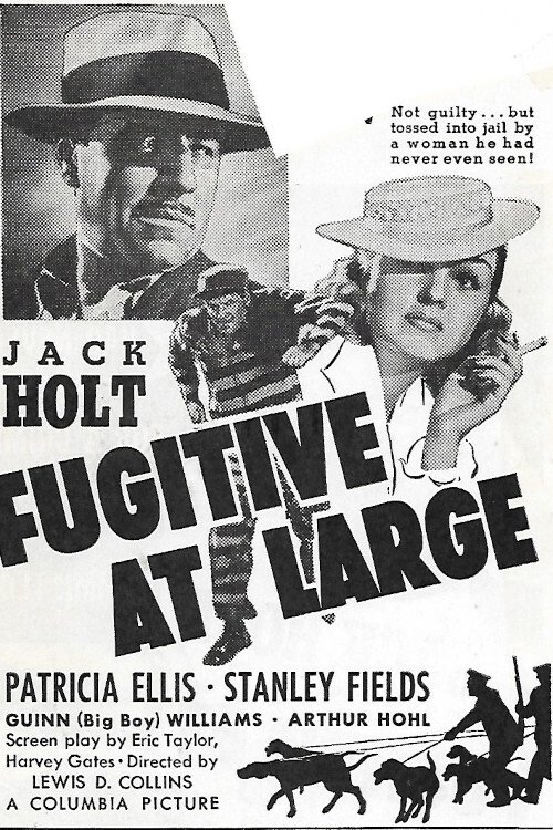 Fugitive at Large