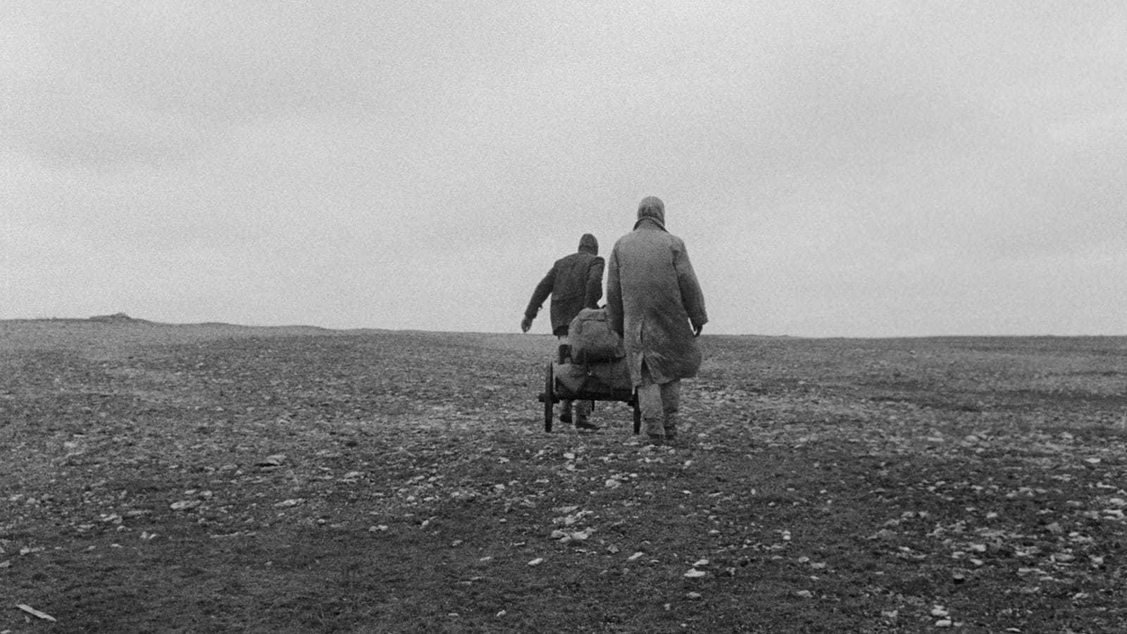 Shame (1968)