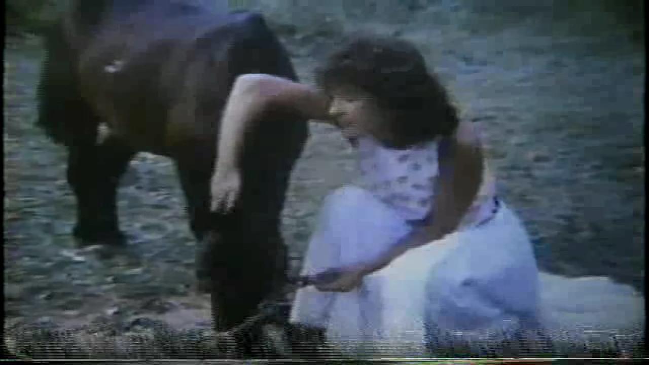 Júlia E os Pôneis (1987)