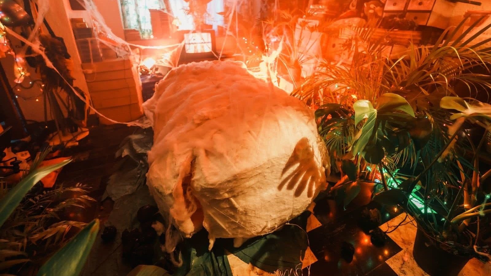 Moth (2023)
