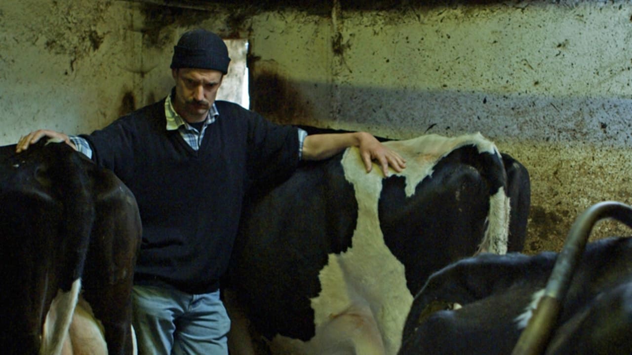 Pilgrim Hill (2013)