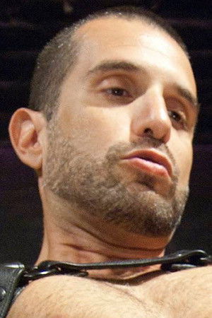 et billede af Diablo Fox