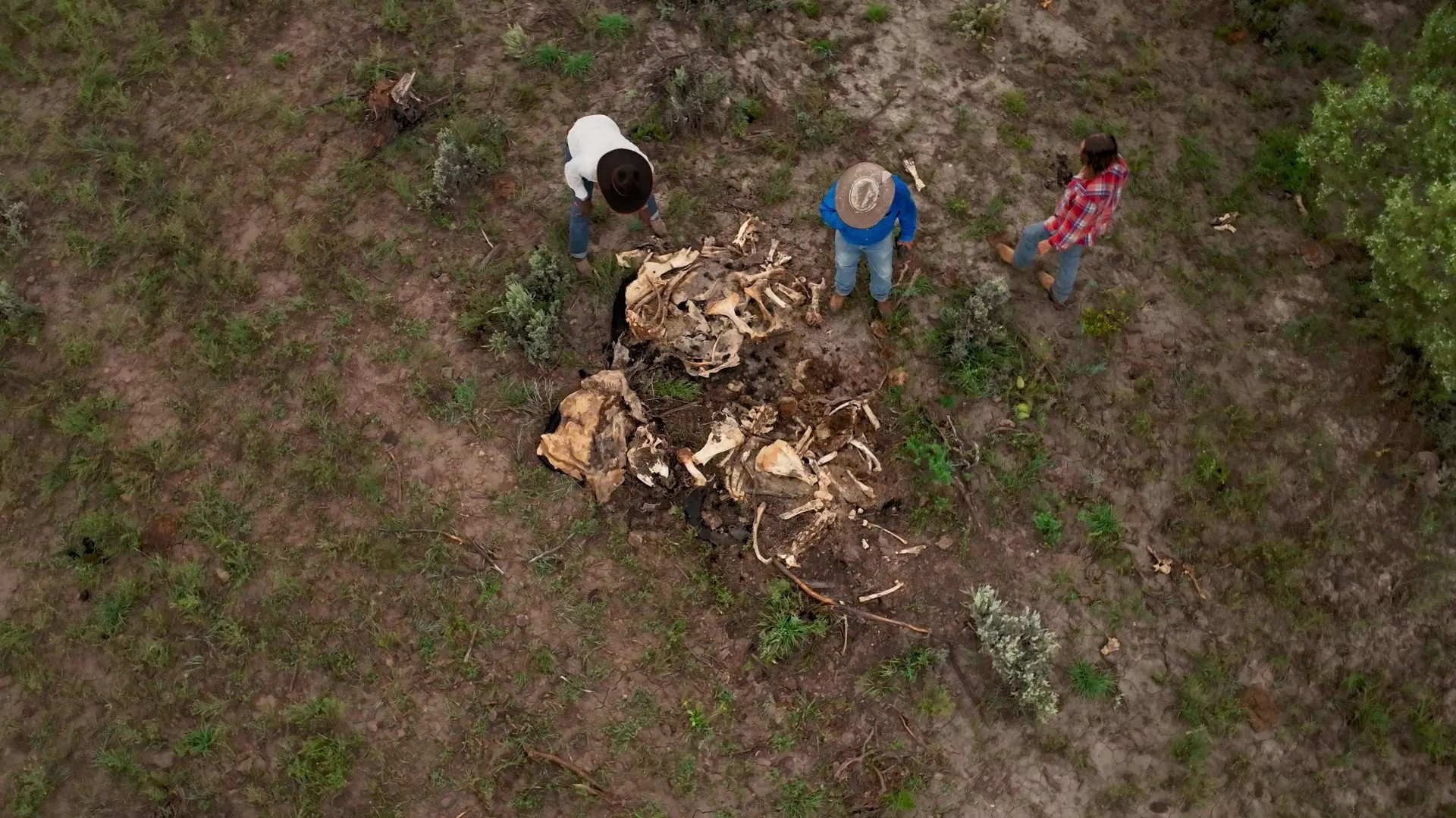 UFO Cowboys S01E02 backdrop