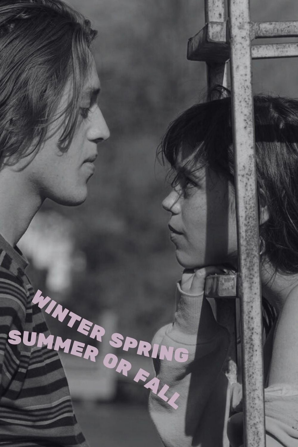 Winter Spring Summer or Fall