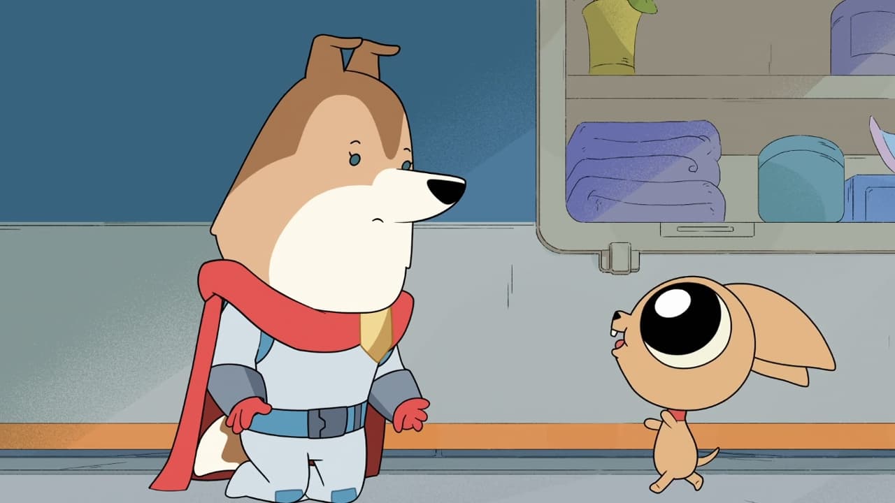 Dogs in Space