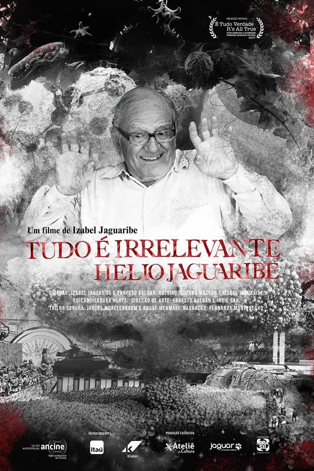 Tudo &eacute; Irrelevante. H&eacute;lio Jaguaribe
