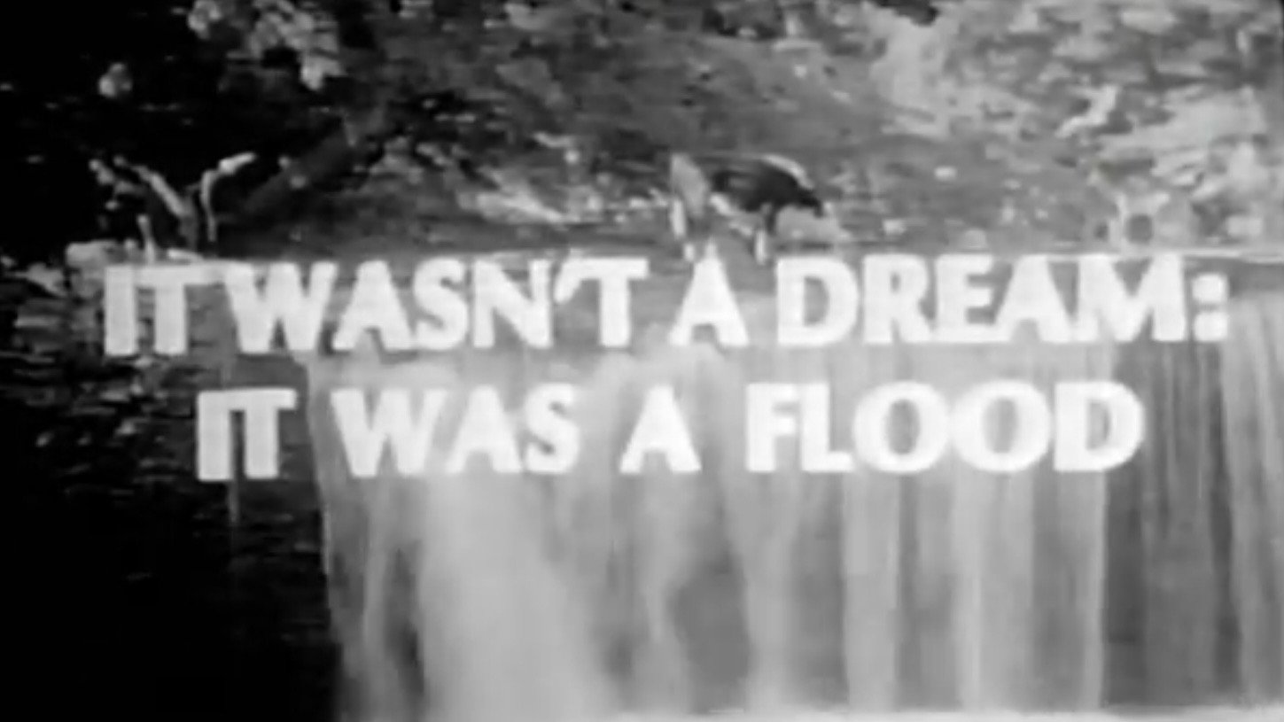 It Wasn't A Dream: It Was A Flood