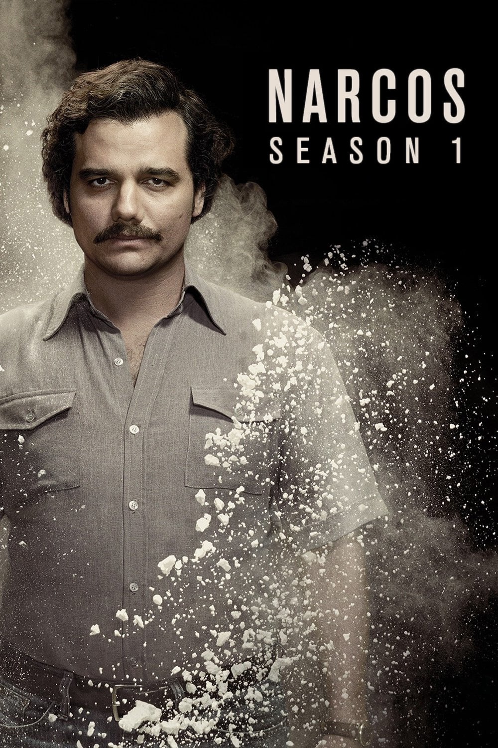 Narcos (TV Series 2015) Season 1