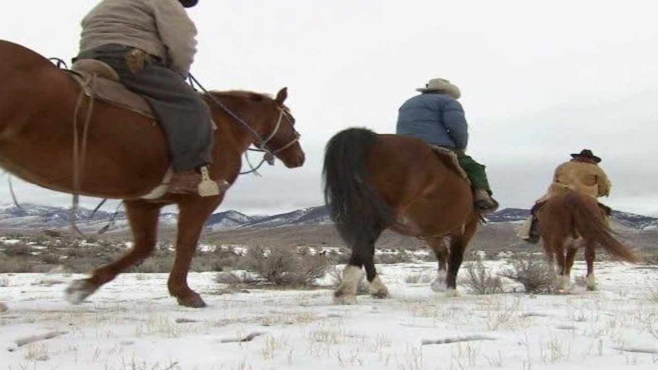 Mountain Men