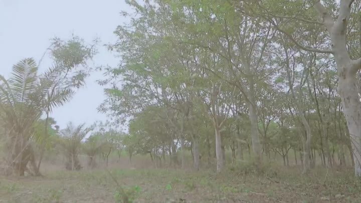 Naagini