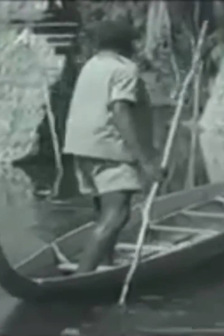 Poster for Ai Sranang