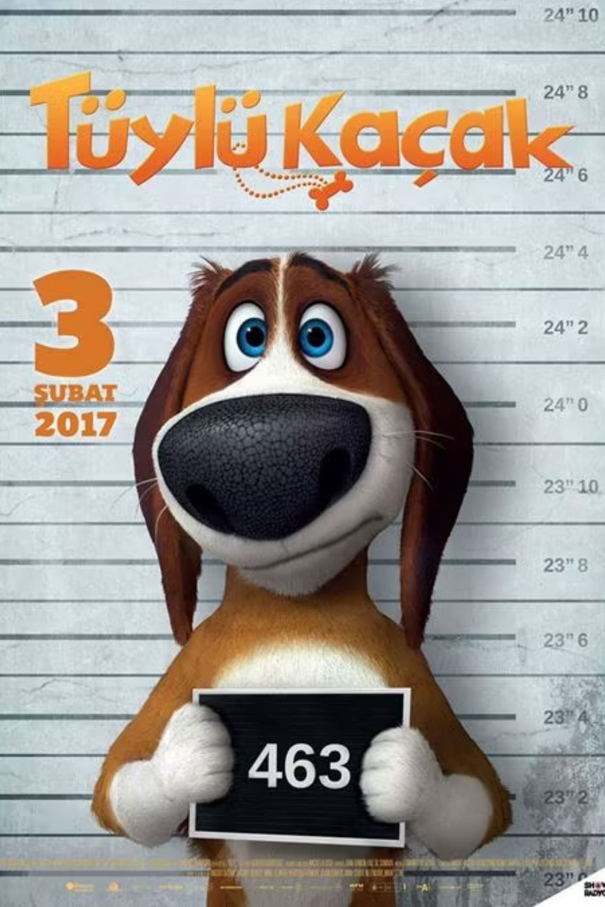 Plakat, der markedsfører Run Ozzy Run