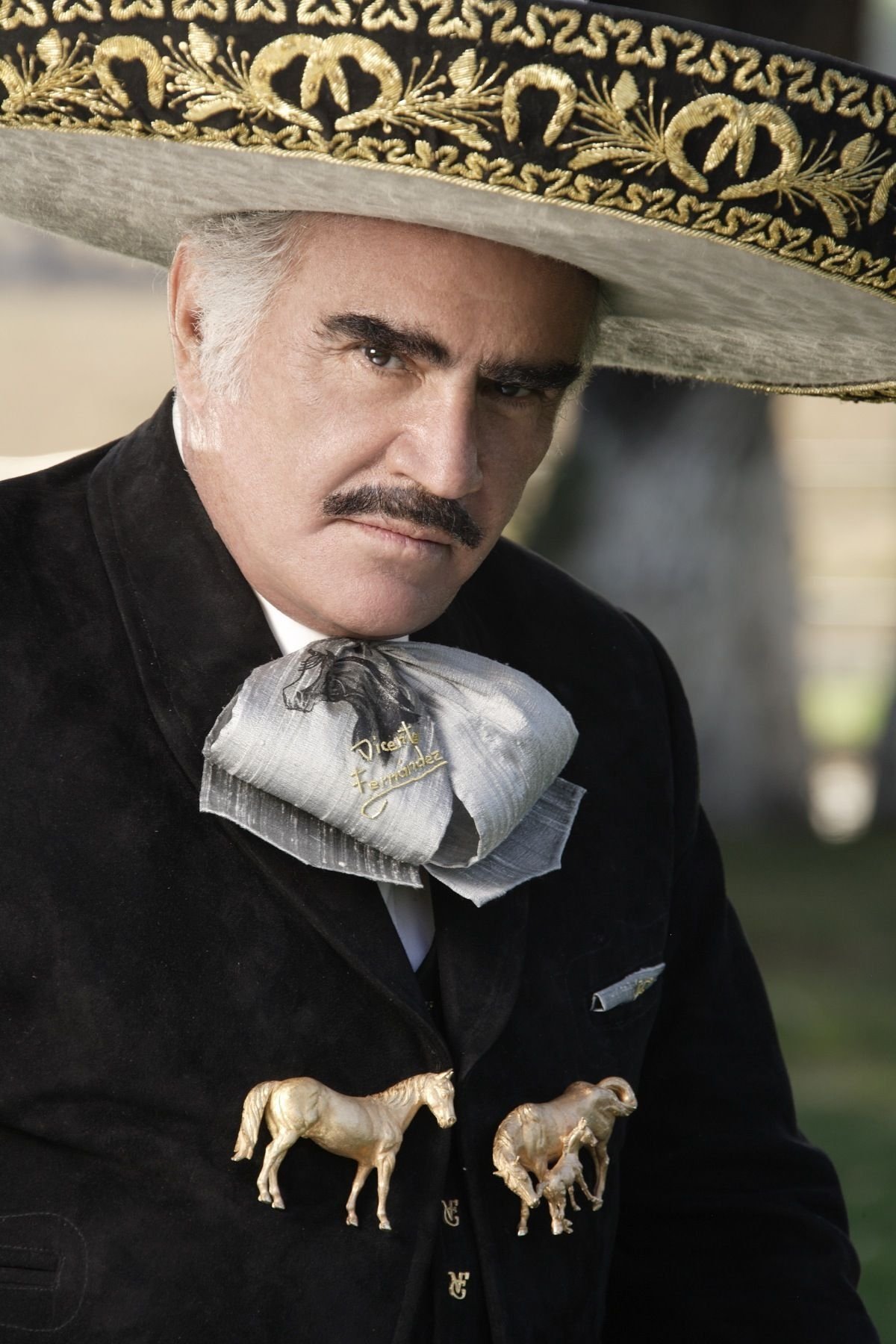 Vicente Fernández's picture in the cast