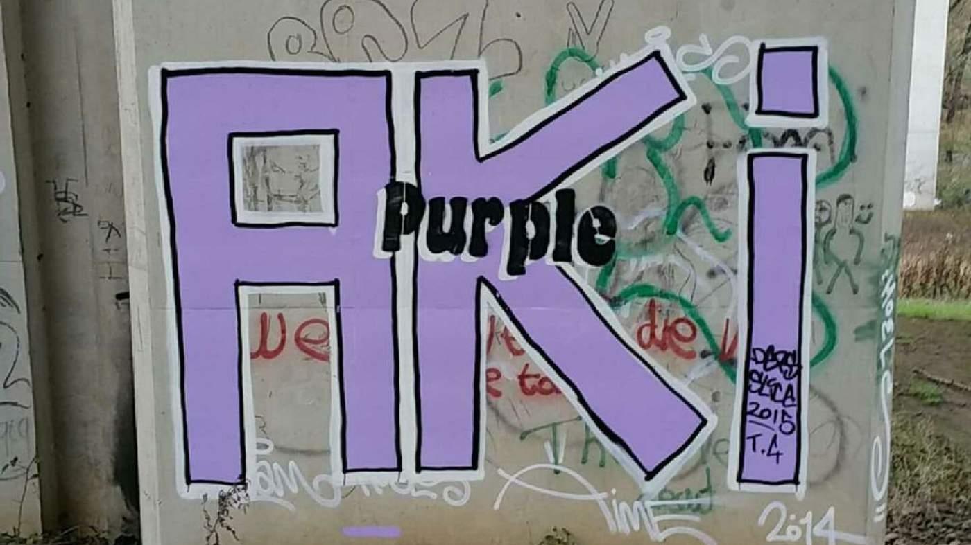 The Man Who Squeezes Muscles: Searching for Purple Aki (2016)