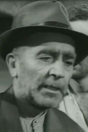 et billede af Petar Vujović