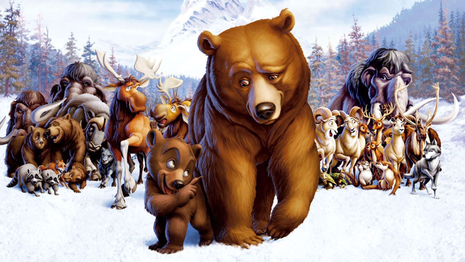 Brother outlet bear megashare