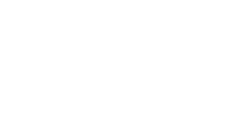 Elvis Presley: The Searcher Logo