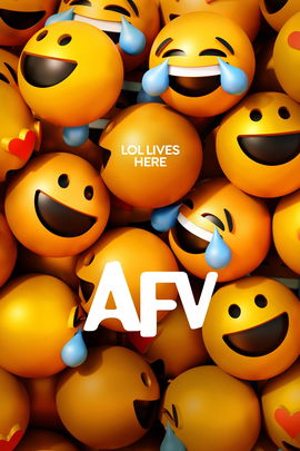 America's Funniest Home Videos poster image