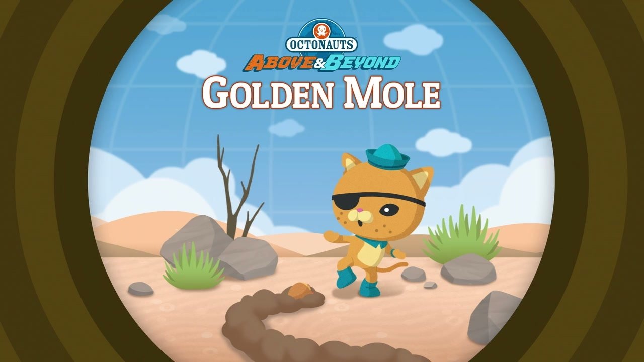 Thumbnail for The Octonauts and the Golden Mole Season 1 Episode 16