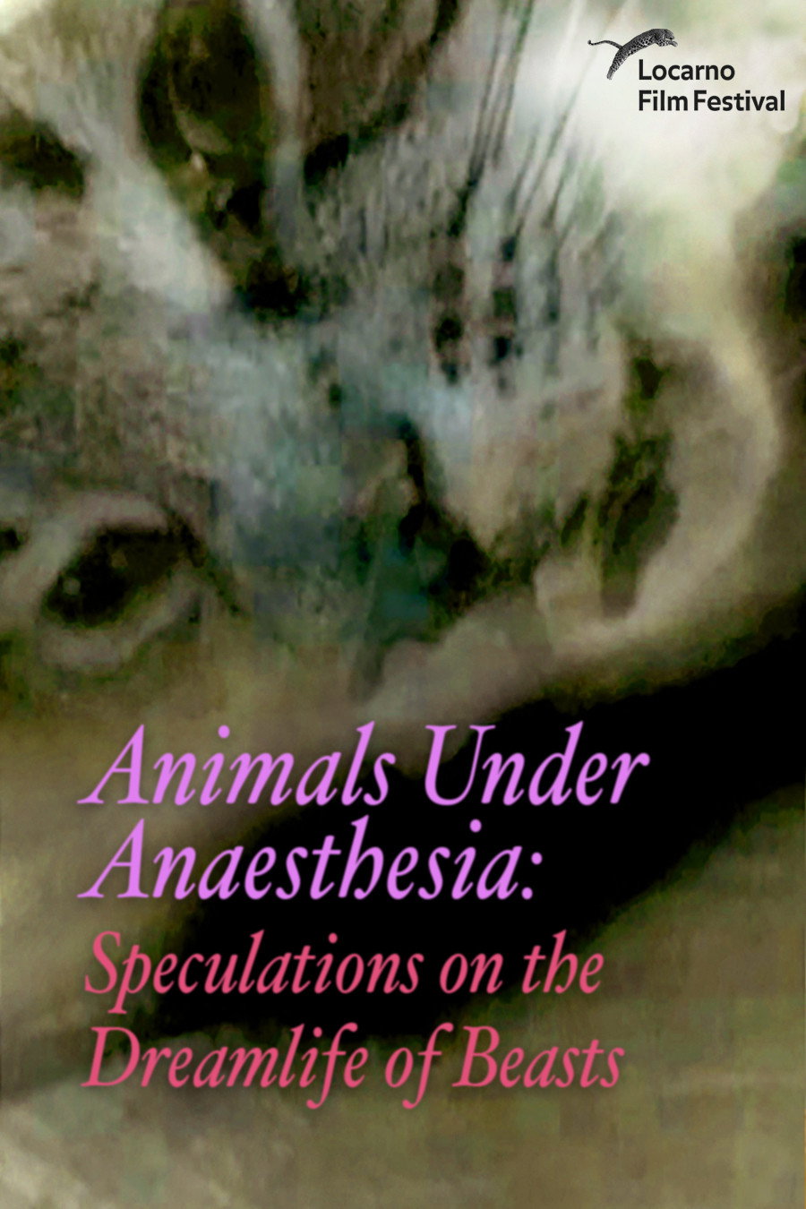Animals Under Anaesthesia: Speculations on the Dreamlife of Beasts