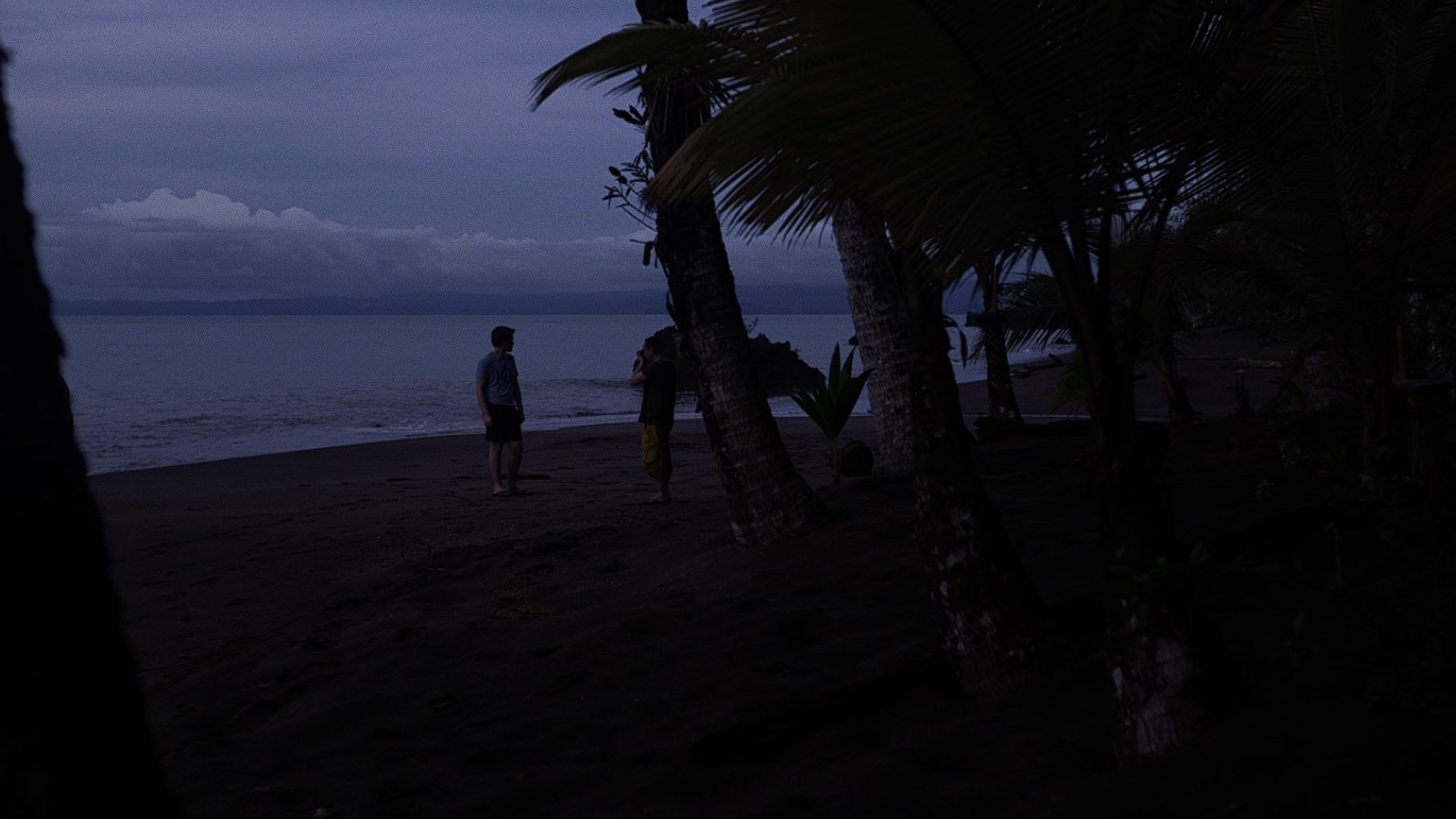 A.W. A Portrait of Apichatpong Weerasethakul (2018)