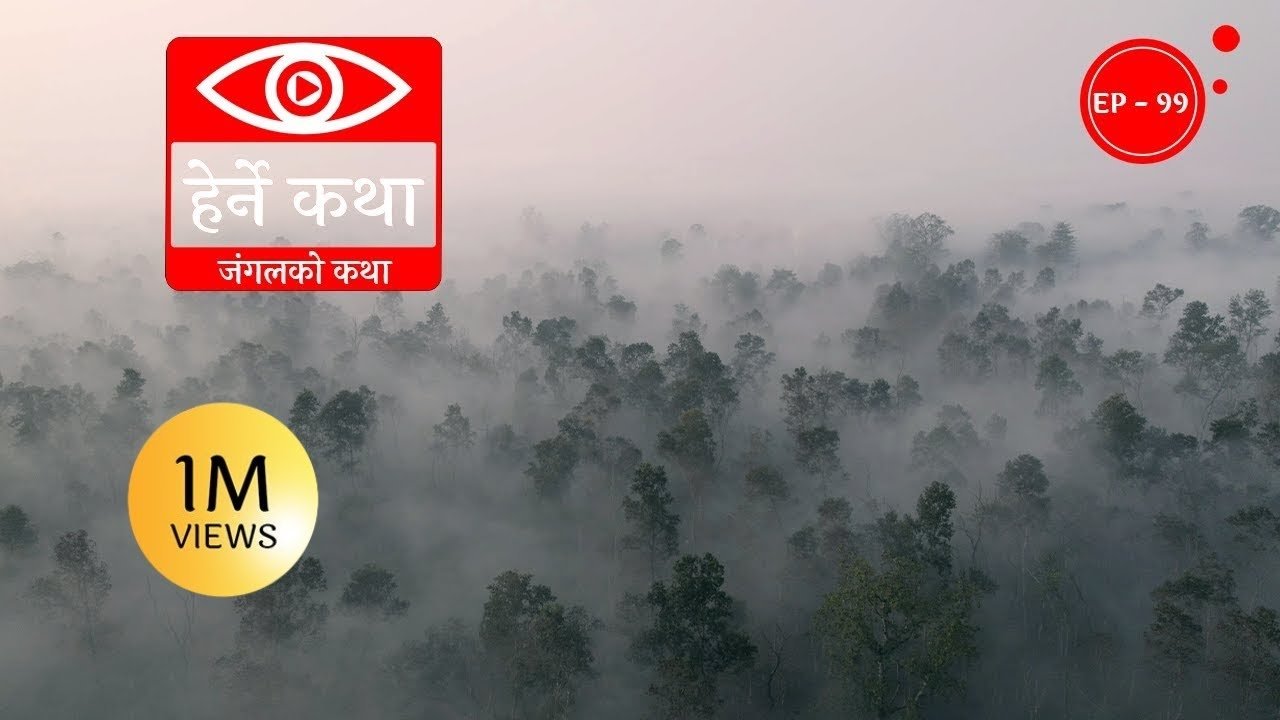 Thumbnail for Jungle ko Katha Season 1 Episode 99