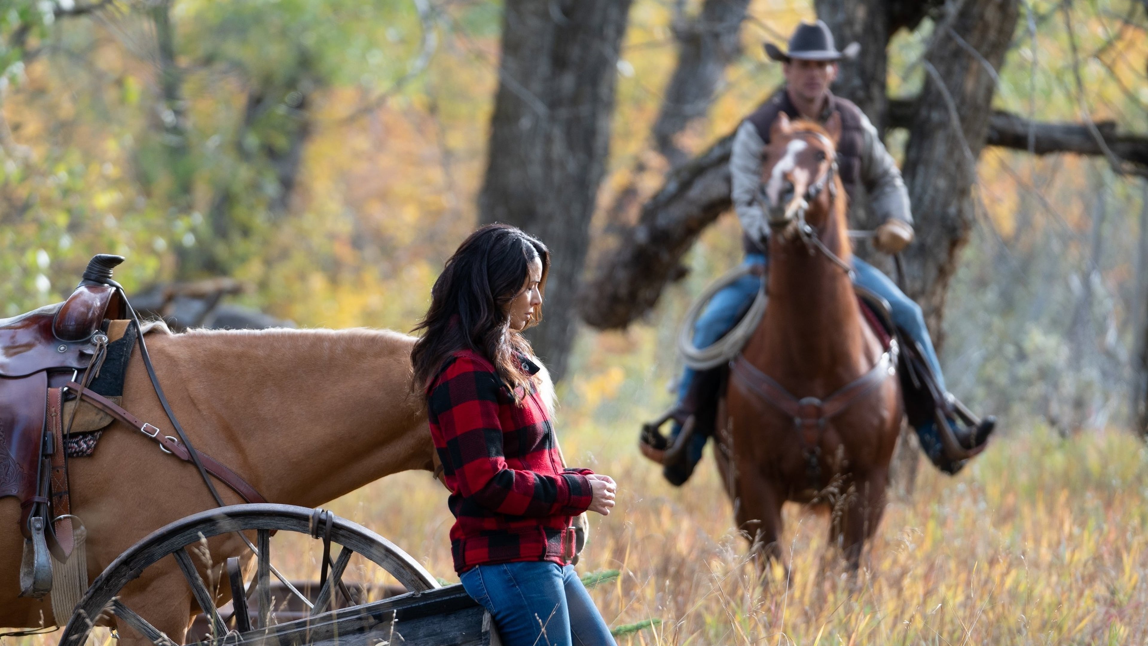 Heartland - Paradies für Pferde Staffel 12 :Folge 11 