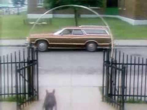 The Littlest Hobo