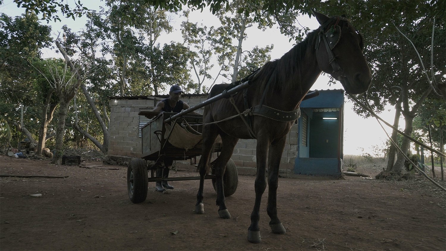 At dawn (2018)