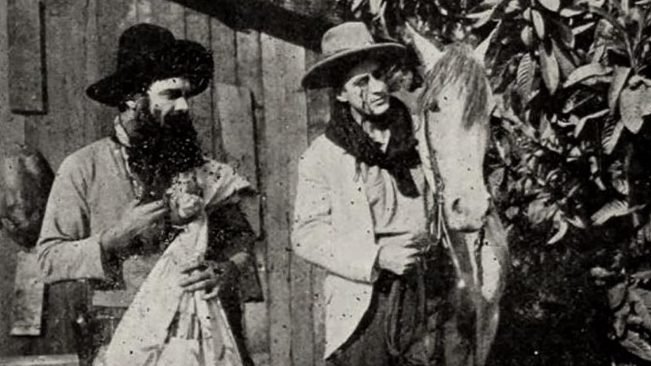 Stingaree (1915)