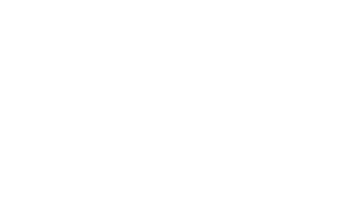 Nighthawks Logo