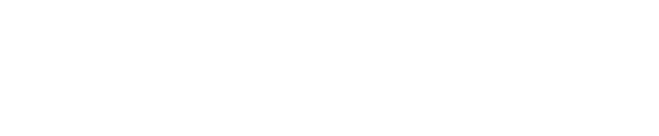 Maria Bethânia: Música é Perfume