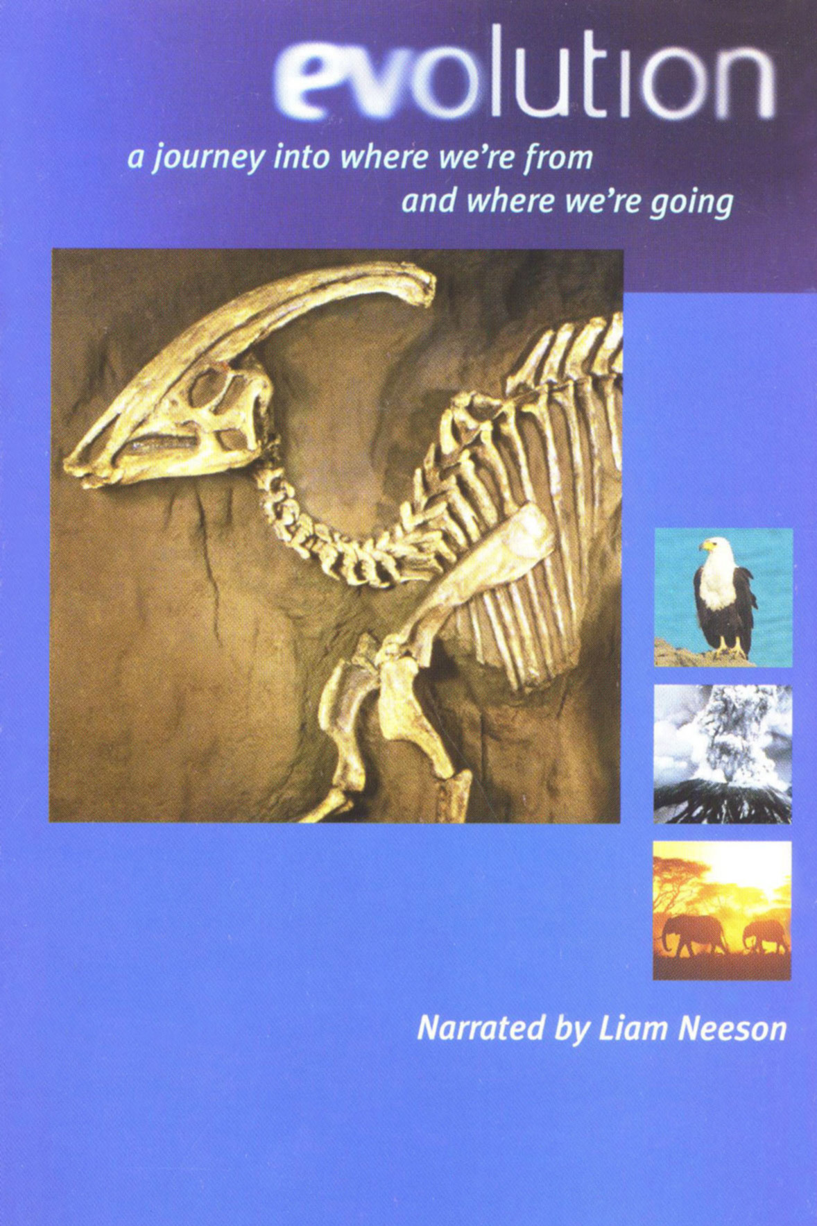 Plakat, der markedsfører Evolution - Darwin's Dangerous Idea