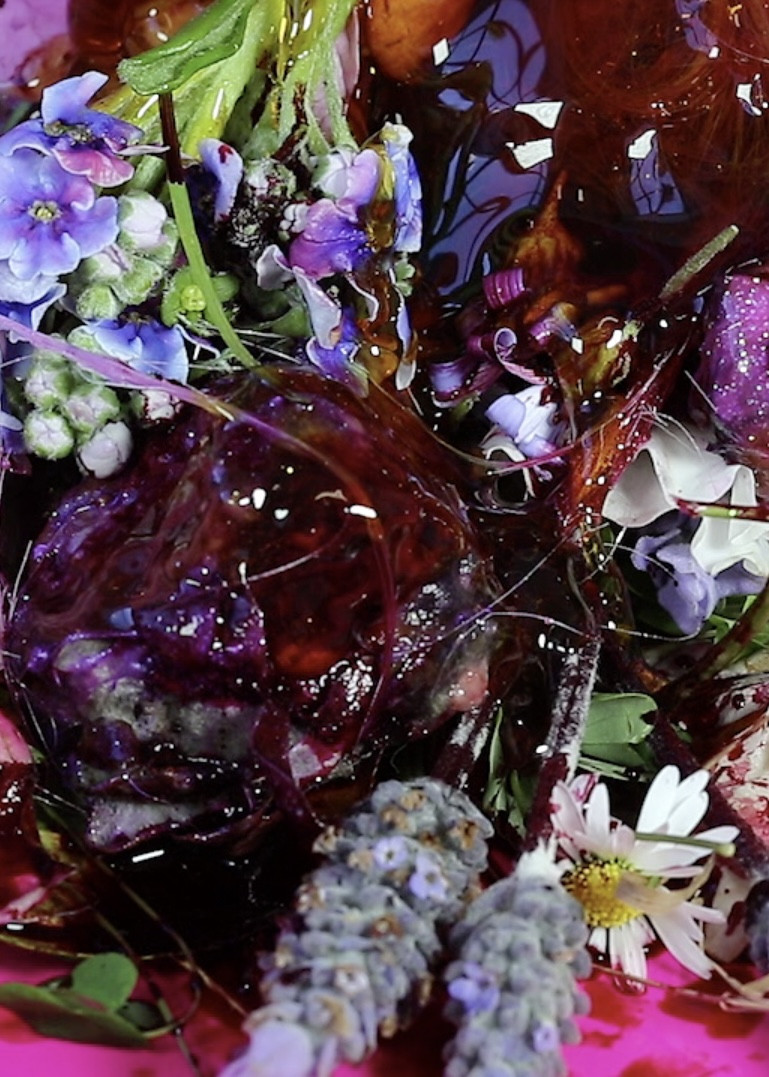 Poster for Food Fat Insanity