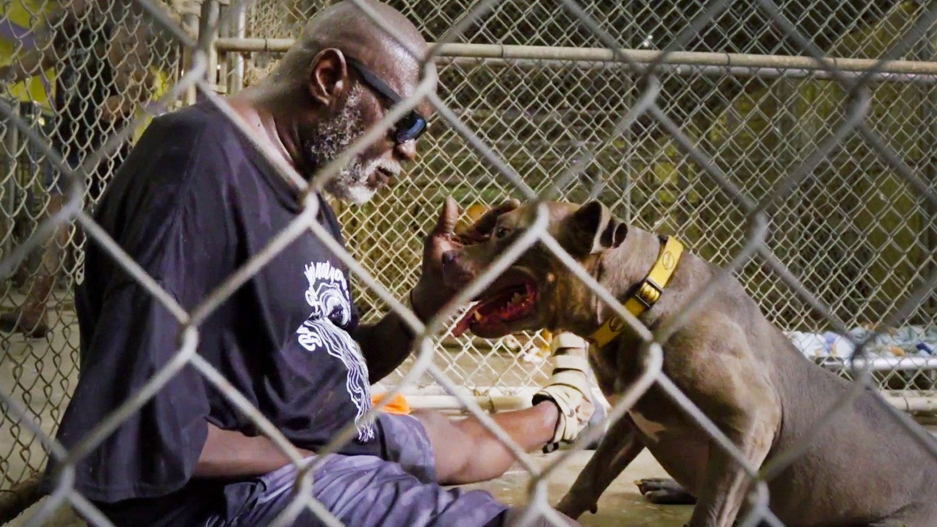 Pit Bulls and Parolees