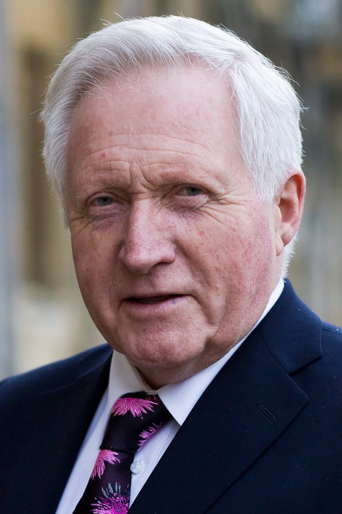 et billede af David Dimbleby