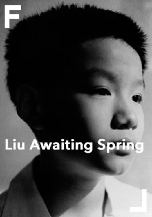 Liu Awaiting Spring poster cover